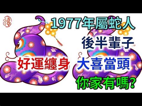 1977 蛇 五行